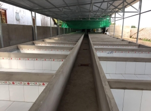 Kỹ Thuật Xây Dựng & Cấu Trúc Bể Nuôi Lươn Không Bùn